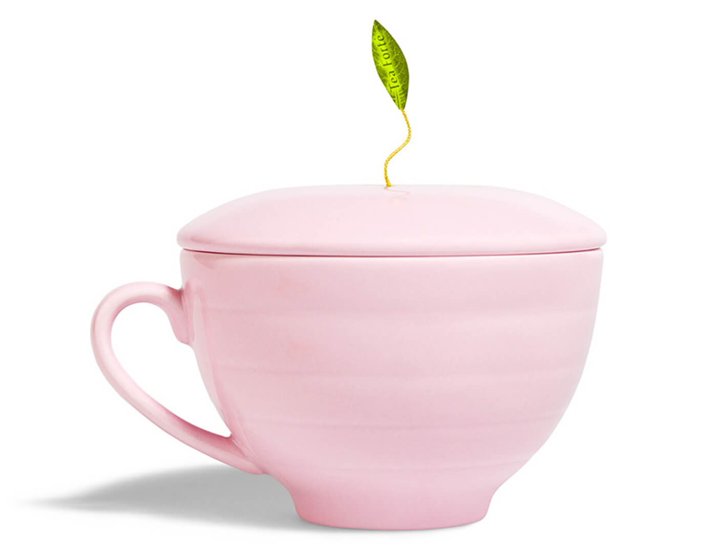 Premium Tea Gift Set - Elegant Jardin Collection 20722 - Perfect for Holidays, Birthdays & Corporate Gifting