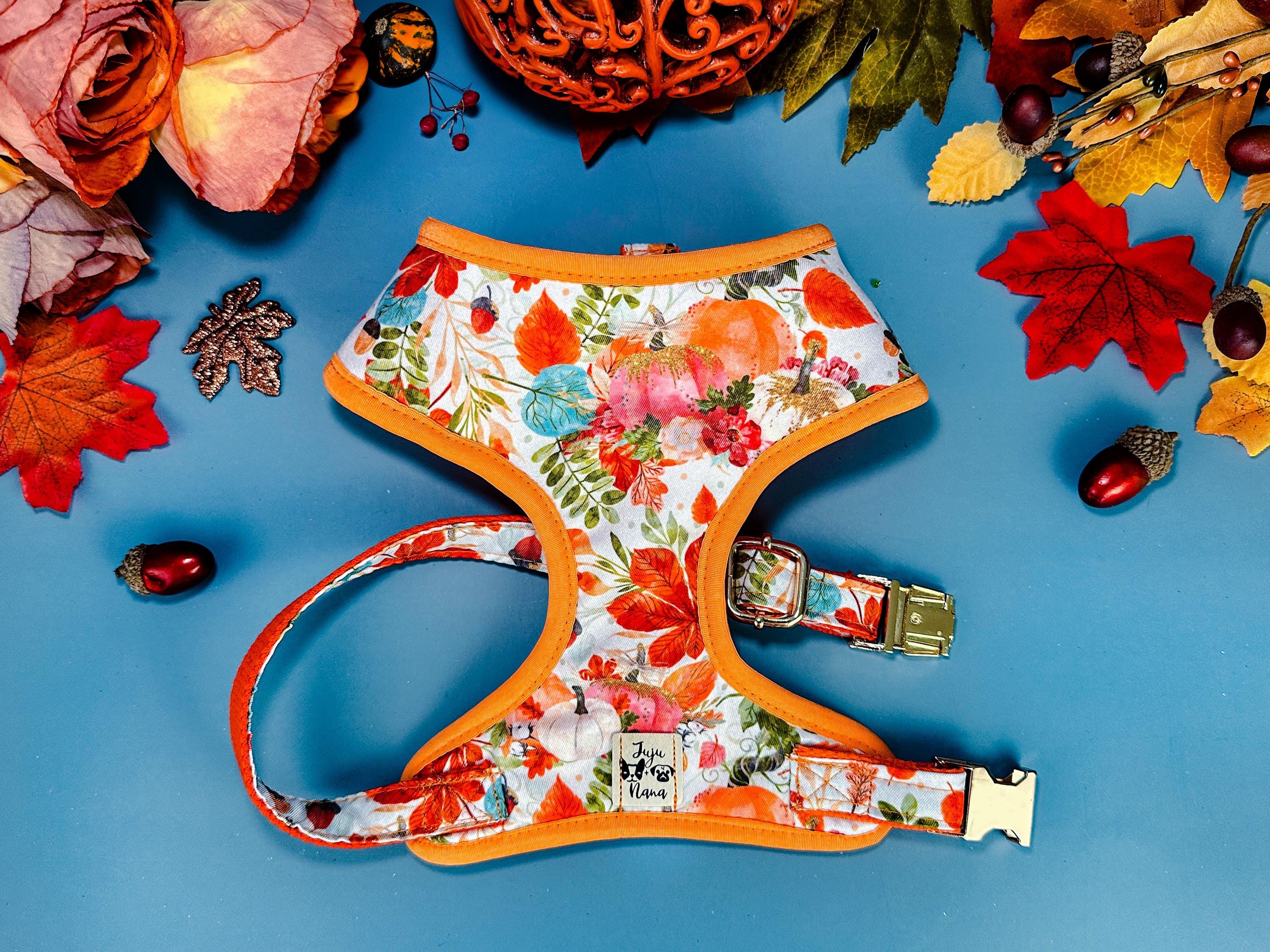 Premium Dog Harness Set with Watercolor Autumn Design - Durable & Adjustable for Small to Medium Dogs - Perfect for Walking, Hiking & Outdoor Adventures