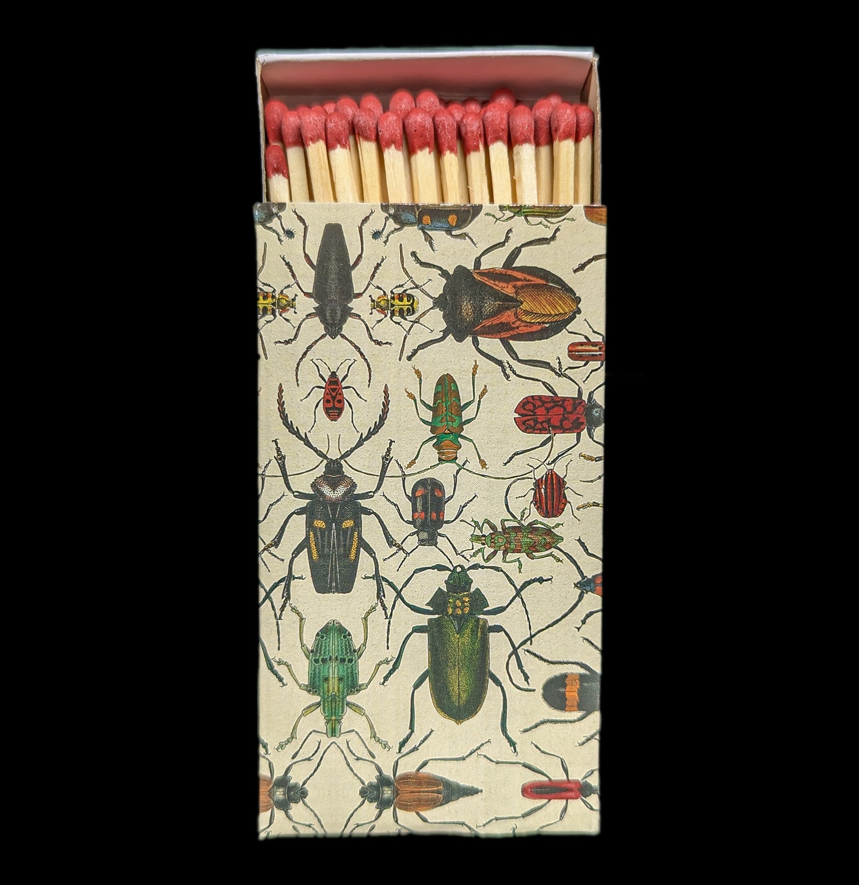 Premium Mixed Beetles Matches - Unique Collectible Insect Matches for Camping, Hiking & Outdoor Adventures