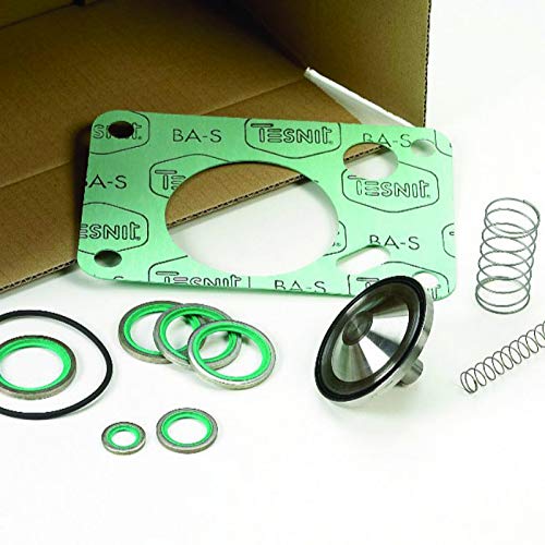 SULLAIR Air Compressor Intake Valve Service Kit Replacement Part 02250155-971 - Compatible with SULLAIR Models for Industrial & Workshop Use