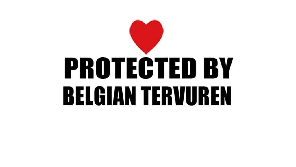 Belgian Tervuren Dog Decal - Premium Vinyl Sticker for Cars, Laptops & Walls | Waterproof & Durable Pet Lover Decor for Home, Office & School