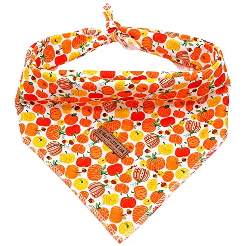 Orange Pumpkin