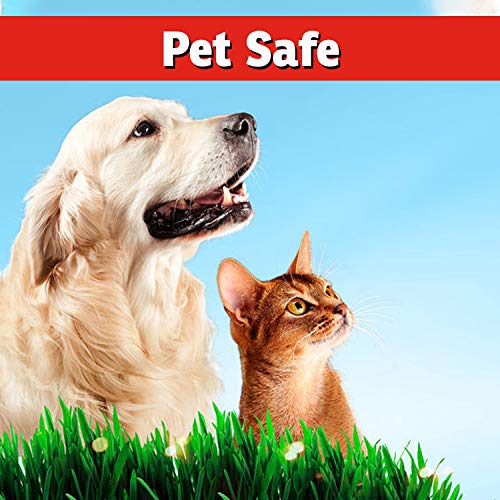 I Must Garden Ant Control Spray - Fast-Acting Natural Ant Killer & Repellent for Indoor & Outdoor Use - Safe for Pets & People - 32oz - Perfect for Kitchens, Gardens & Patios