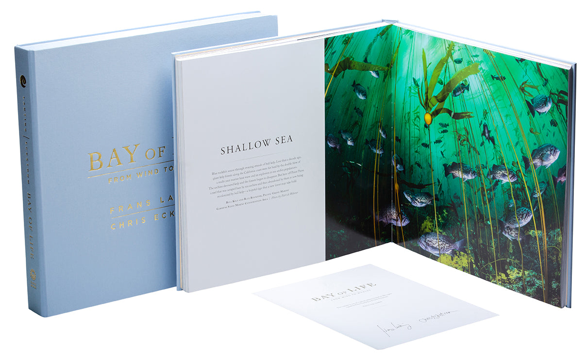 Bay of Life Collector's Edition - Limited Edition Collectible for Fans & Enthusiasts - Perfect for Display, Gifting, and Home Decor