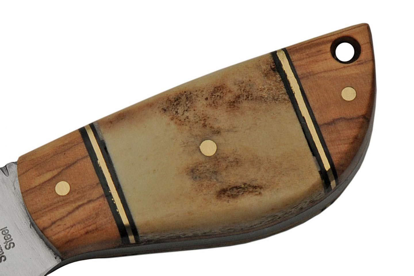 Szco Supplies Wild Stag Skinning Knife SS-7028 - Premium Hunting Knife for Outdoor, Camping & Survival | Durable Stainless Steel Blade with Stag Handle