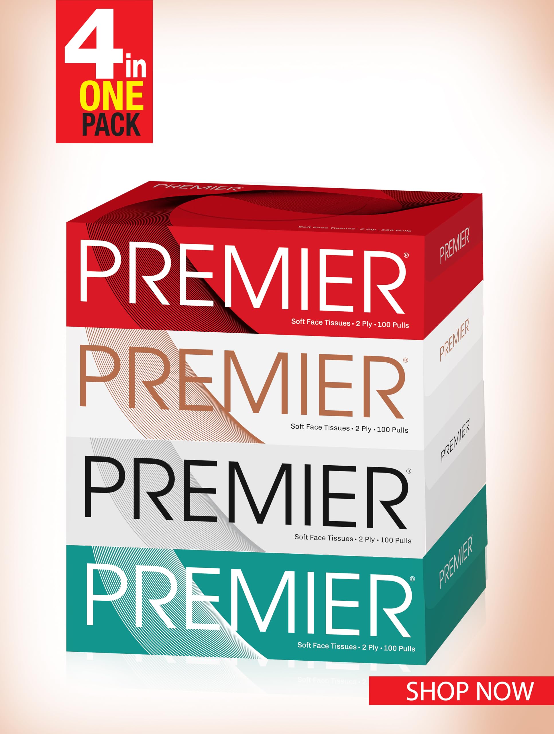 Premium 2-Ply Facial Tissues Box - 100 Pulls per Box (4-Pack, 400 Pulls Total) | Soft & Strong for Home, Office & Travel Use | Gentle on Skin | Bulk Tissue Paper Supply