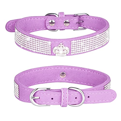 Crown Purple