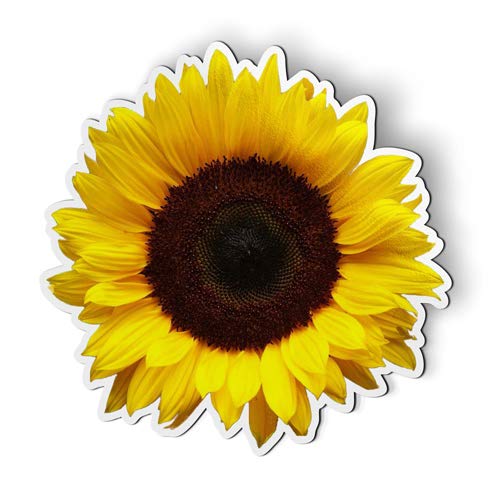Sunflower Car Fridge Magnet - Strong Magnetic Locker Decoration for Refrigerator & Metal Surfaces - Choose Your Size - Perfect for Home, Office & Dorm Organization