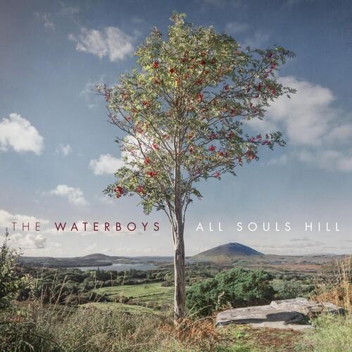 All Souls Hill Vinyl LP Record - Limited Edition Music Album for Collectors & Audiophiles - Perfect for Home Listening & Vinyl Enthusiasts