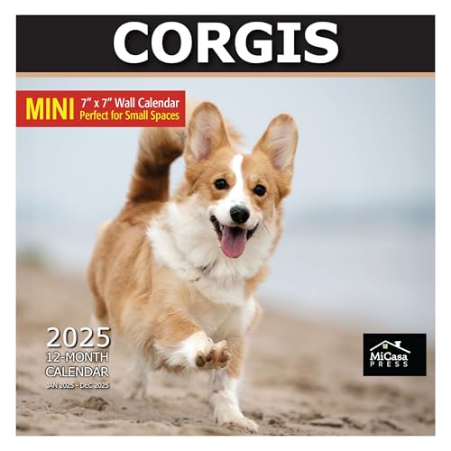 04A - Corgis