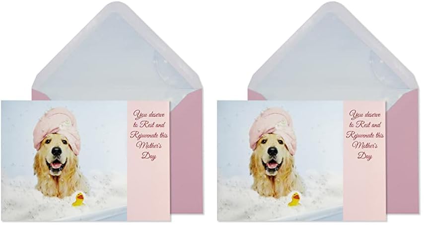 Dog in Bath