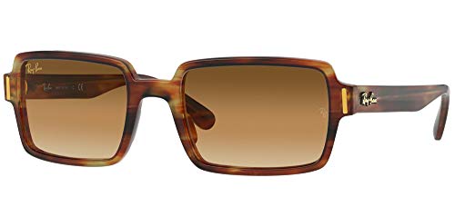 Striped Havana/Clear Gradient Brown