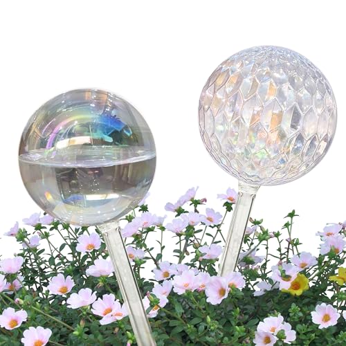 Iridescent Medium 2-pack