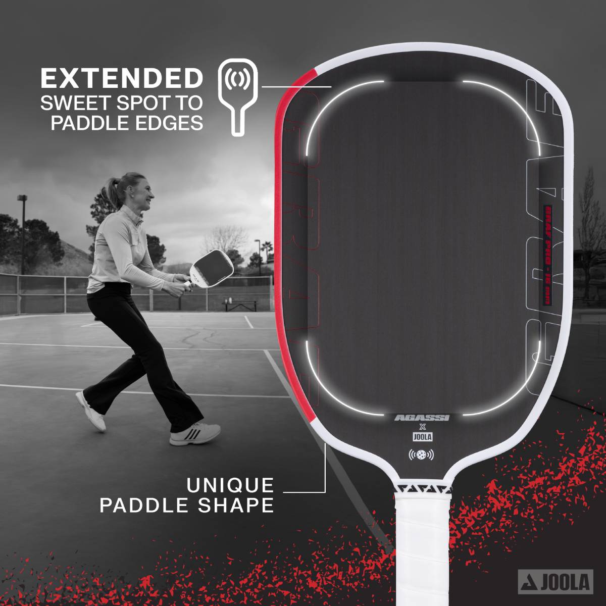JOOLA Steffi Graf Pro Demo Rental - Professional Table Tennis Paddle for Training & Practice - Perfect for Clubs, Coaches & Players