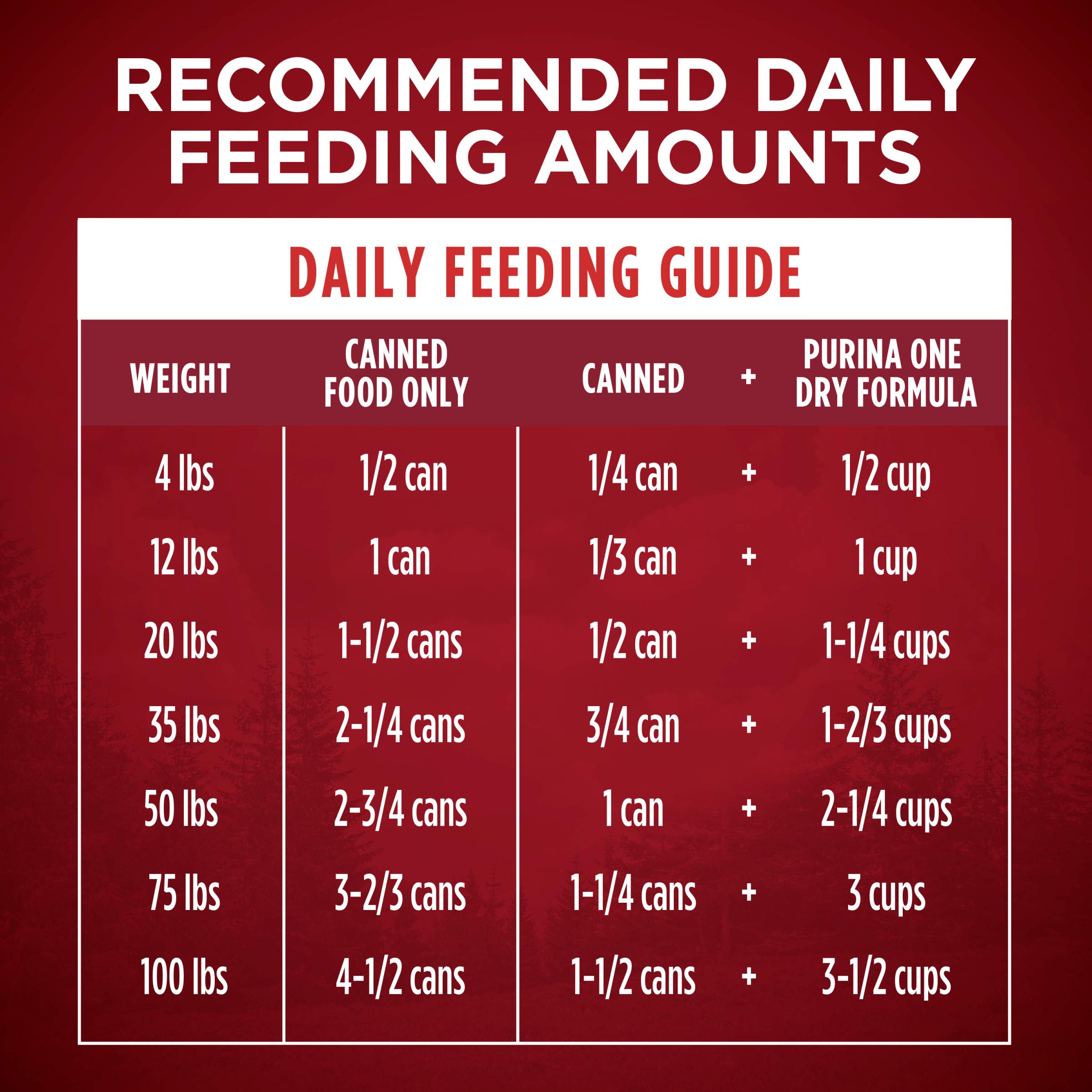 Purina ONE High Protein Wet Dog Food - True Instinct Tender Cuts in Gravy with Real Beef & Wild Salmon (12 Pack, 13 oz Cans) | Premium Nutrition for Active Dogs & Puppies | Perfect for Training Rewards, Mealtime & Outdoor Adventures