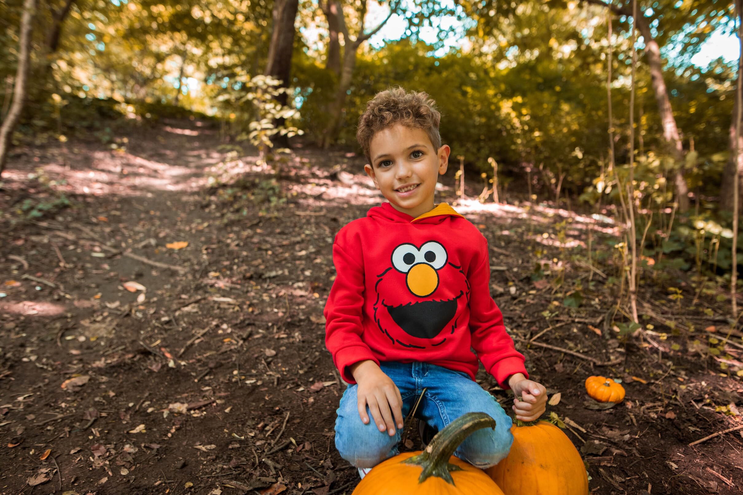 Sesame Street Abby Cadabby Elmo Big Bird Cookie Monster Oscar The Grouch Pullover Hoodie for Kids - Soft Cotton Toddler Sweatshirt for Boys & Girls (Infant to Little Kid) - Perfect for Playdates, Preschool & Family Outings