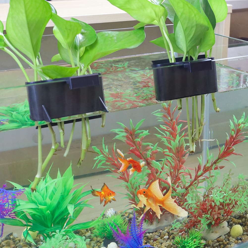 Aquarium Plant Holder - Plastic Fish Tank Plant Holder with Suction Cups, Hanging Aquarium Planter Cup for Live Aquatic Plants - Perfect for Betta Fish Tanks, Aquascaping & Freshwater Aquariums
