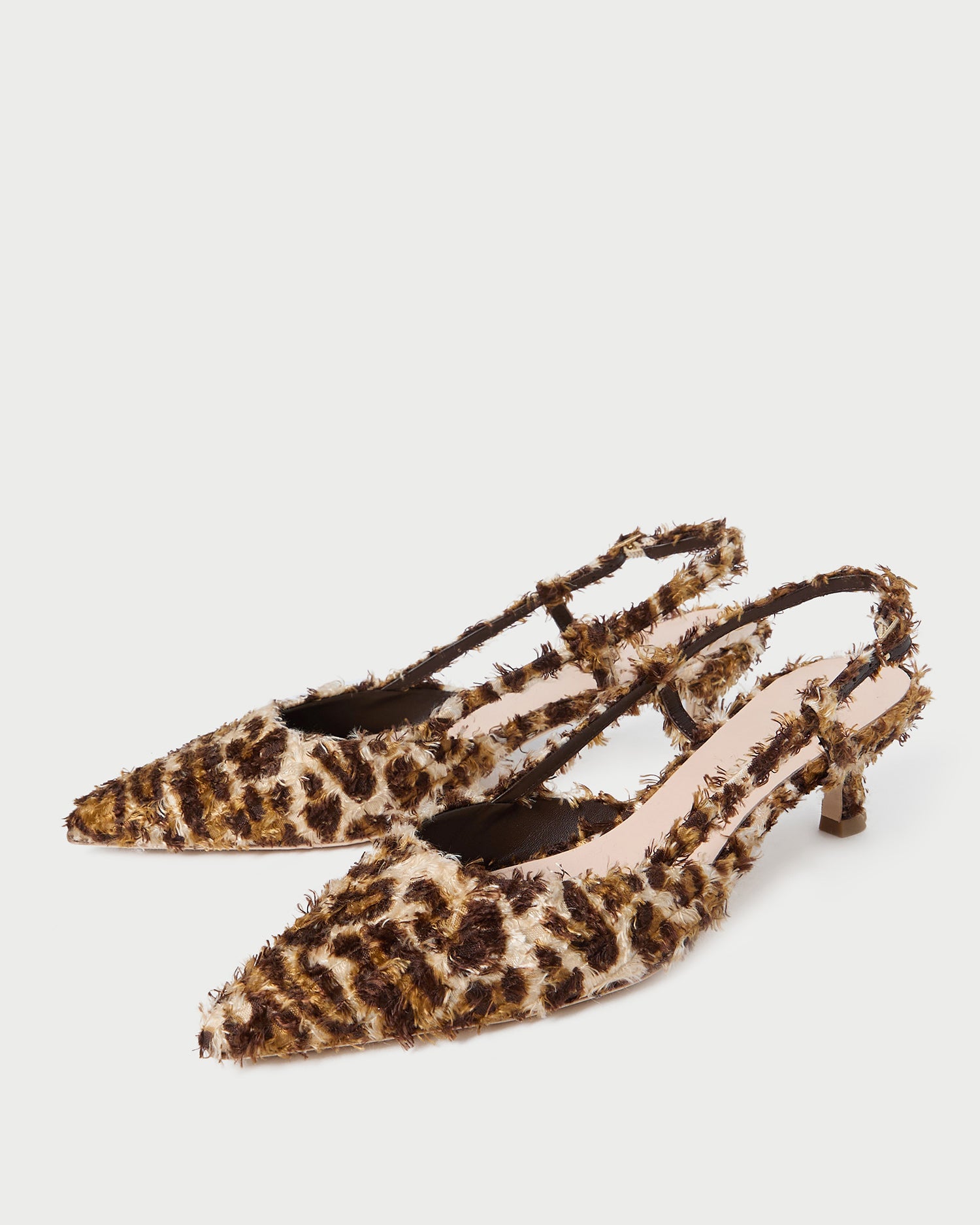 Tyson Leopard Print Kitten Heels - Stylish Pointed Toe Low Heel Pumps for Women | Perfect for Office, Party & Evening Wear