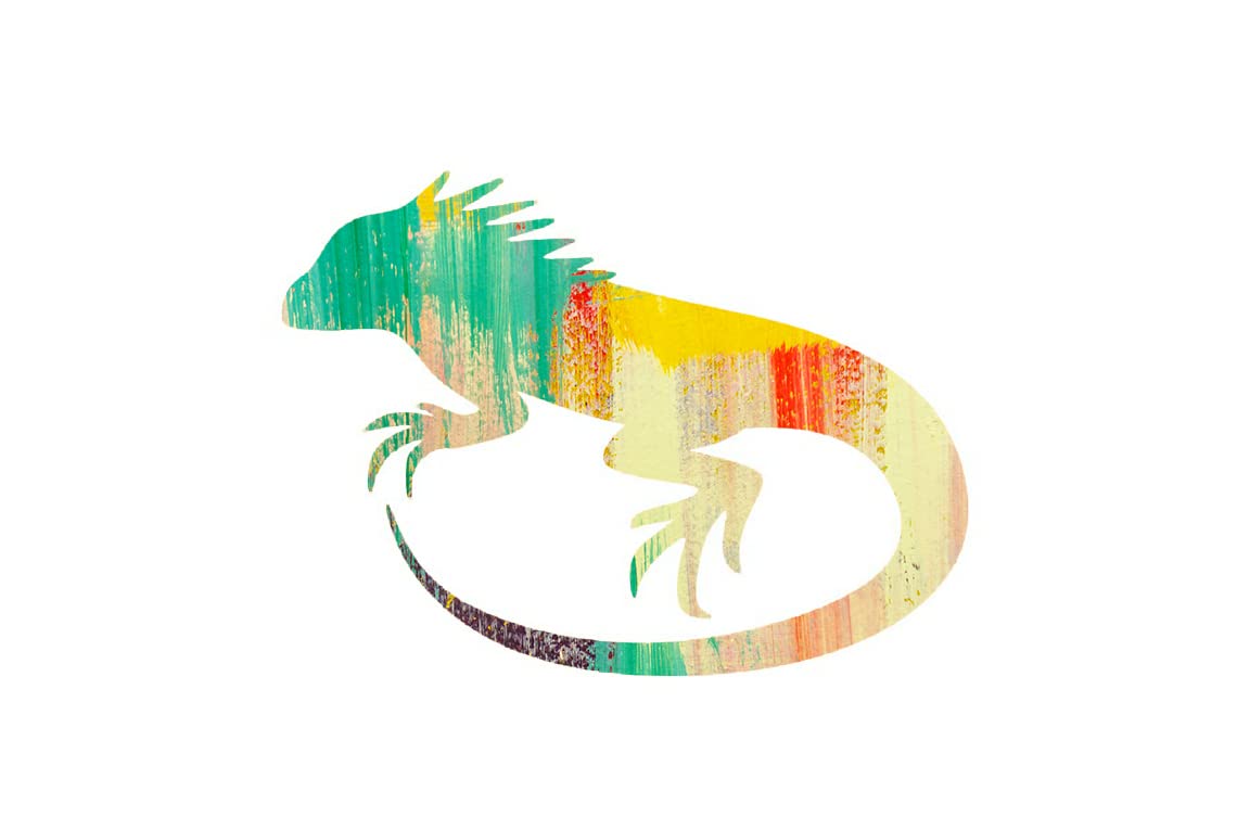 Unfinished Wooden Iguana Shape for DIY Crafts - Handmade Reptile Animal Cutouts - 1 Piece (Up to 24 Inch) - Perfect for Wood Burning, Painting, and Home Decor Projects
