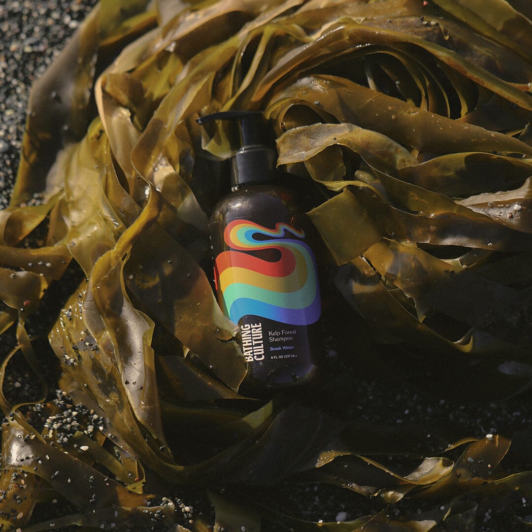 Organic Kelp Forest Shampoo for Hair Growth & Scalp Health - Vegan, Sulfate-Free Deep Cleansing Shampoo for Dry, Damaged Hair - Perfect for Daily Use & Natural Hair Care Routine