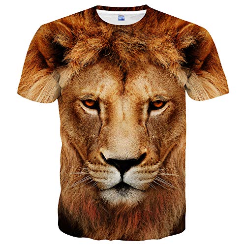 A6 Hys-lion