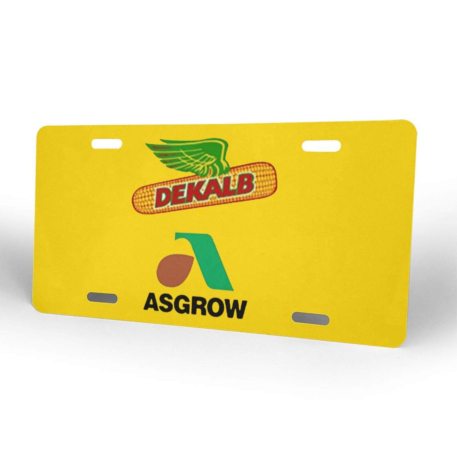 Custom Aluminum License Plate Frame Cover - 6
