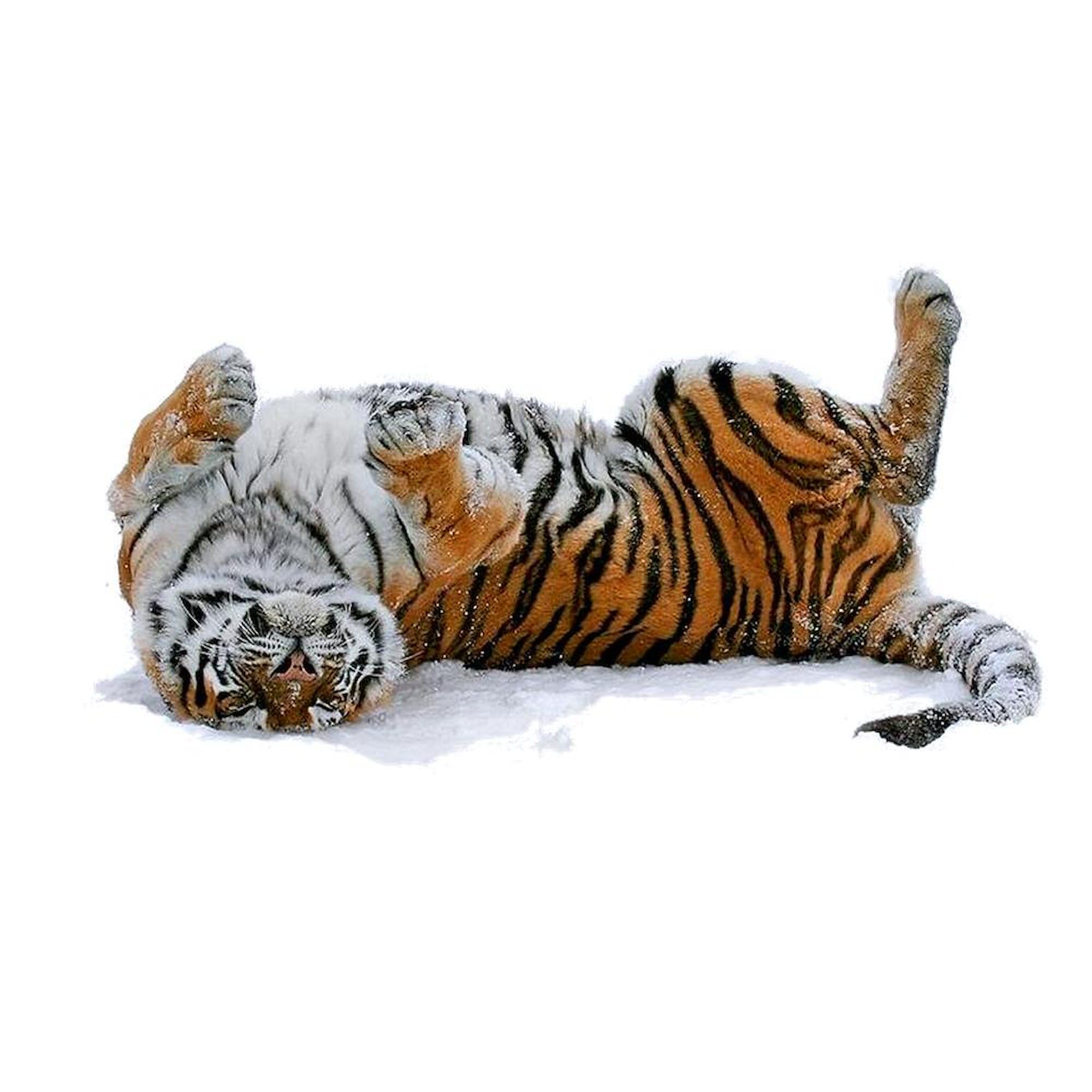 Tiger Print Ceramic Coffee Mug 11 oz (325 ml) - Perfect for Home, Office & Gifts - Unique Animal Design Coffee Cup for Tea, Hot Chocolate & Beverages