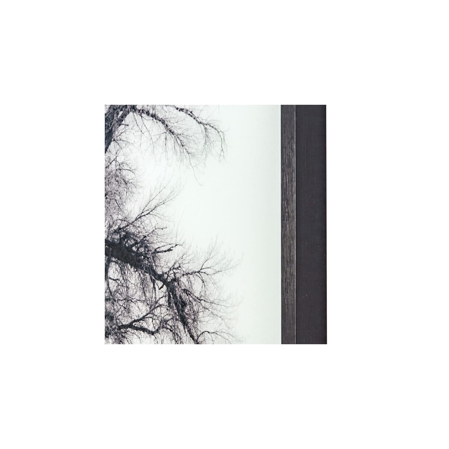 Yosemite Home Decor Winter Morning Fog II Wall Art - Stunning Landscape Print for Living Room, Bedroom & Office Decor