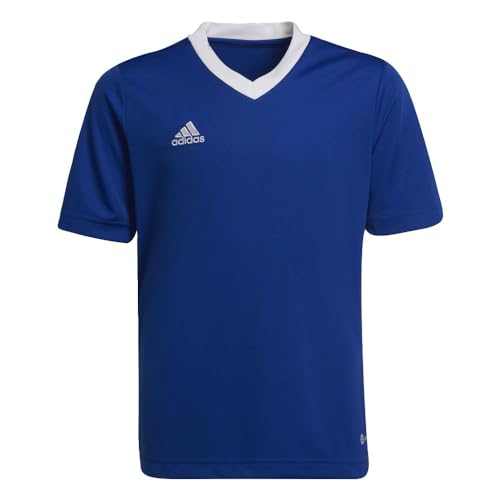 Team Royal Blue