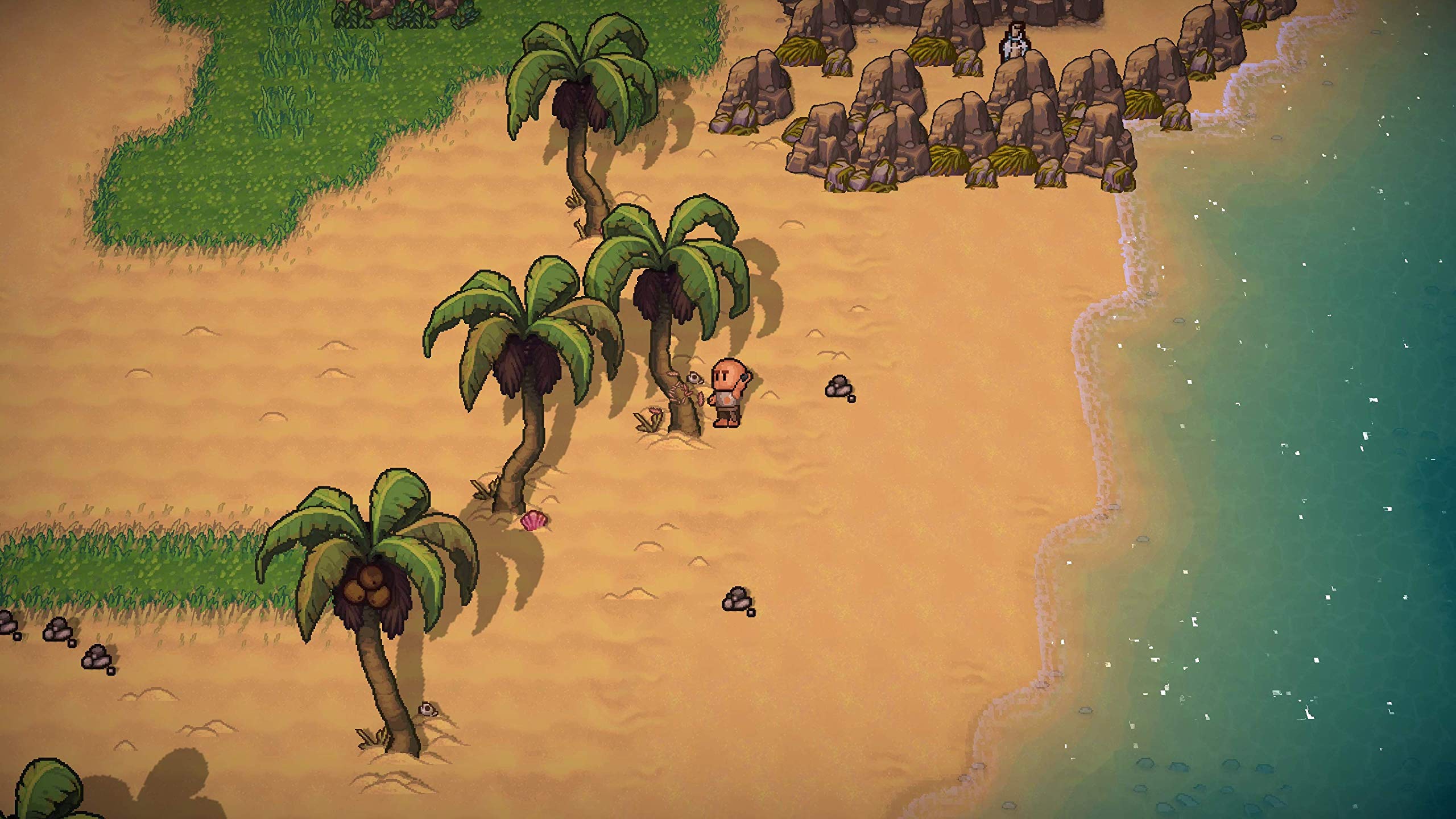 The Survivalists - Adventure Survival Game for PlayStation 4 | Multiplayer Co-op | Explore, Craft & Survive in Open World | Perfect for Game Nights & Survival Fans