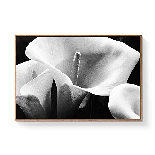 Floating Framed Canvas Wall Art - Black Flower Print 16x24 Inches, Ready to Hang for Living Room & Bedroom Decor | Modern Home Wall Decor for Housewarming Gifts & Interior Design