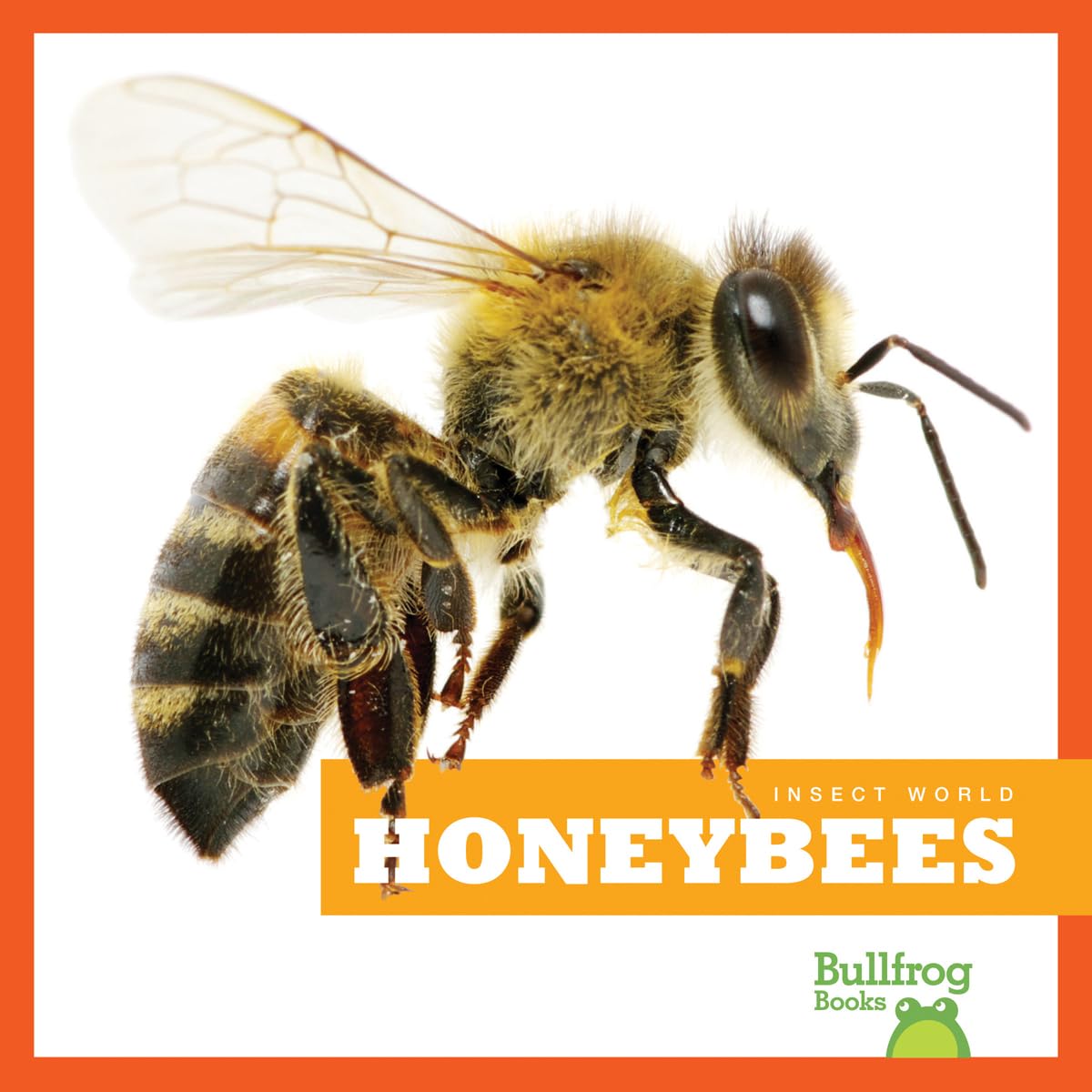Honeybees Book for Kids - Educational Insect World Series by Bullfrog Books | Learn About Bees, Pollination & Nature | Perfect for Classroom & Homeschooling