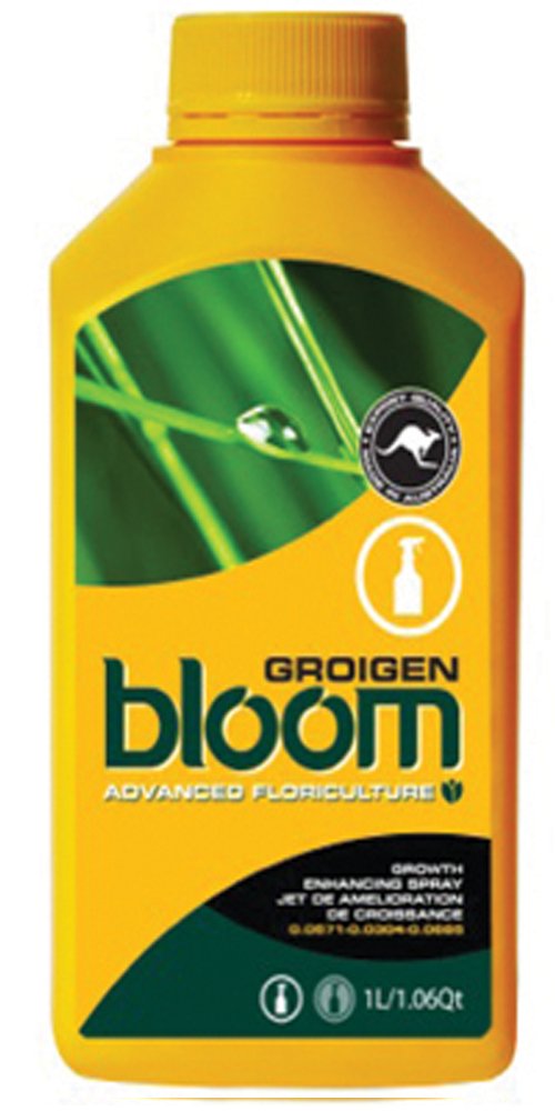 Bloom Groigen 2.5L Yellow Water Bottle - BPA Free Leak Proof Sports Bottle for Gym, Hiking & Outdoor Activities