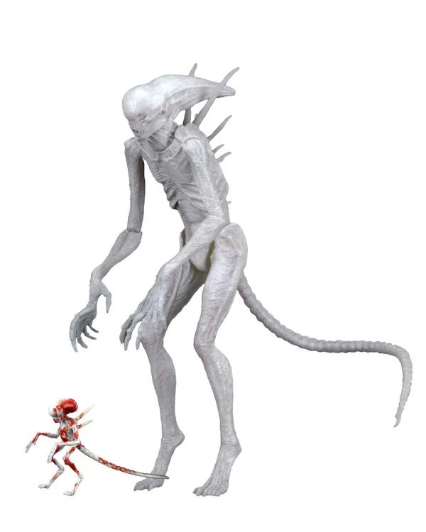 Alien: Covenant Neomorph Action Figure - Collectible Movie Merchandise for Sci-Fi Fans | Perfect for Display, Cosplay & Gift Giving