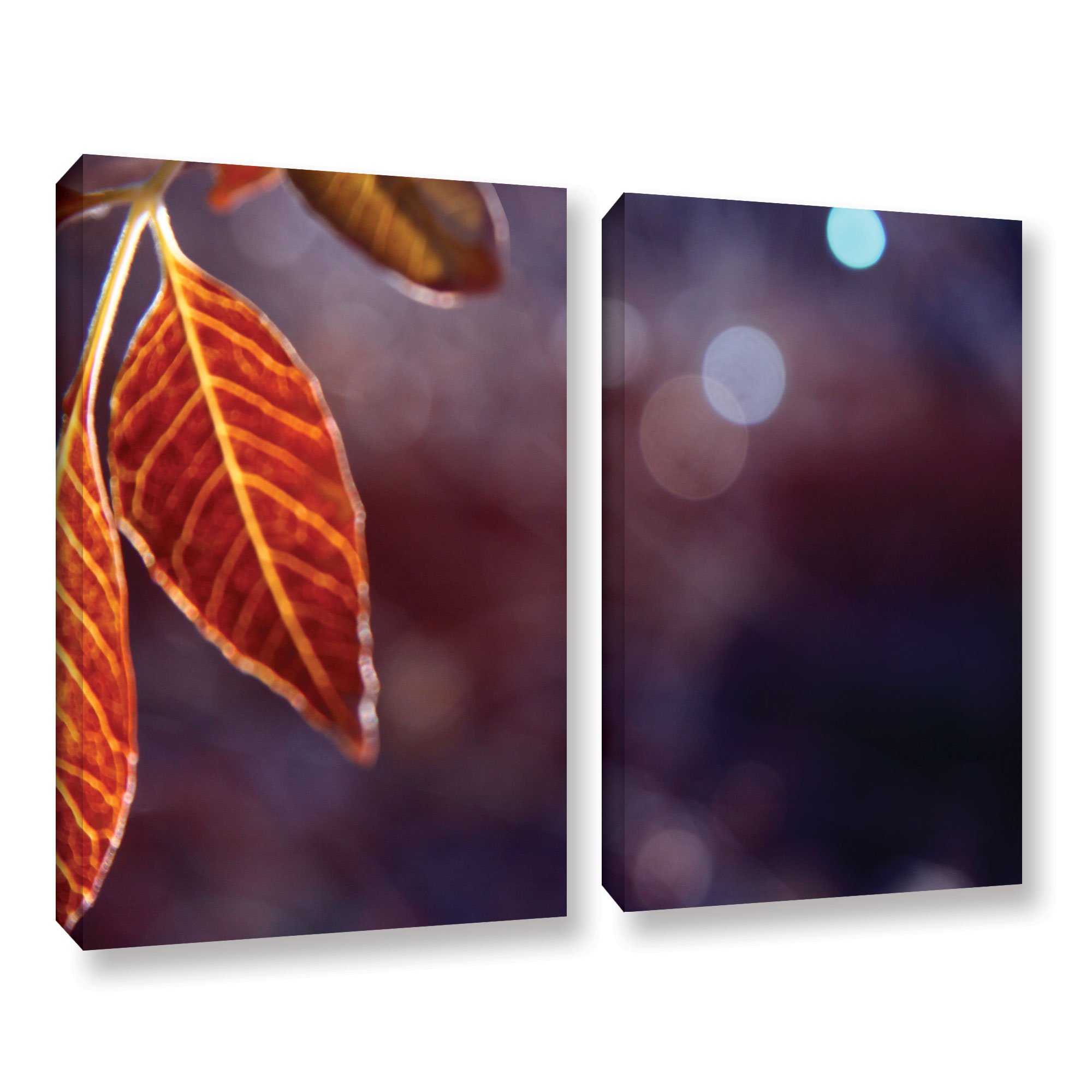 ArtWall 2-Piece Mark Ross Fall Lights Gallery Wrapped Canvas Set - 36