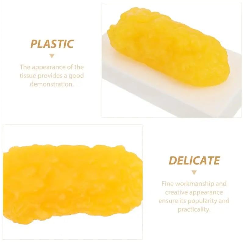 1lb Human Body Fat Model - Realistic Adipose Tissue Replica for Nutrition Education & Science Classrooms | Perfect for Dietitians, Health Demonstrations & Medical Training