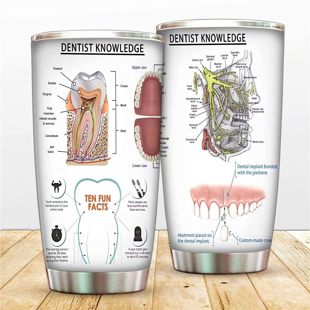 Facial Nerves & Dental Anatomy Stainless Steel Tumbler - 20oz & 30oz Double Wall Insulated Cups with Lids & Straws - Perfect for Dentists, Nurses & Medical Professionals - Great for Coffee, Tea & Cold Drinks at Clinics, Offices or Home Use