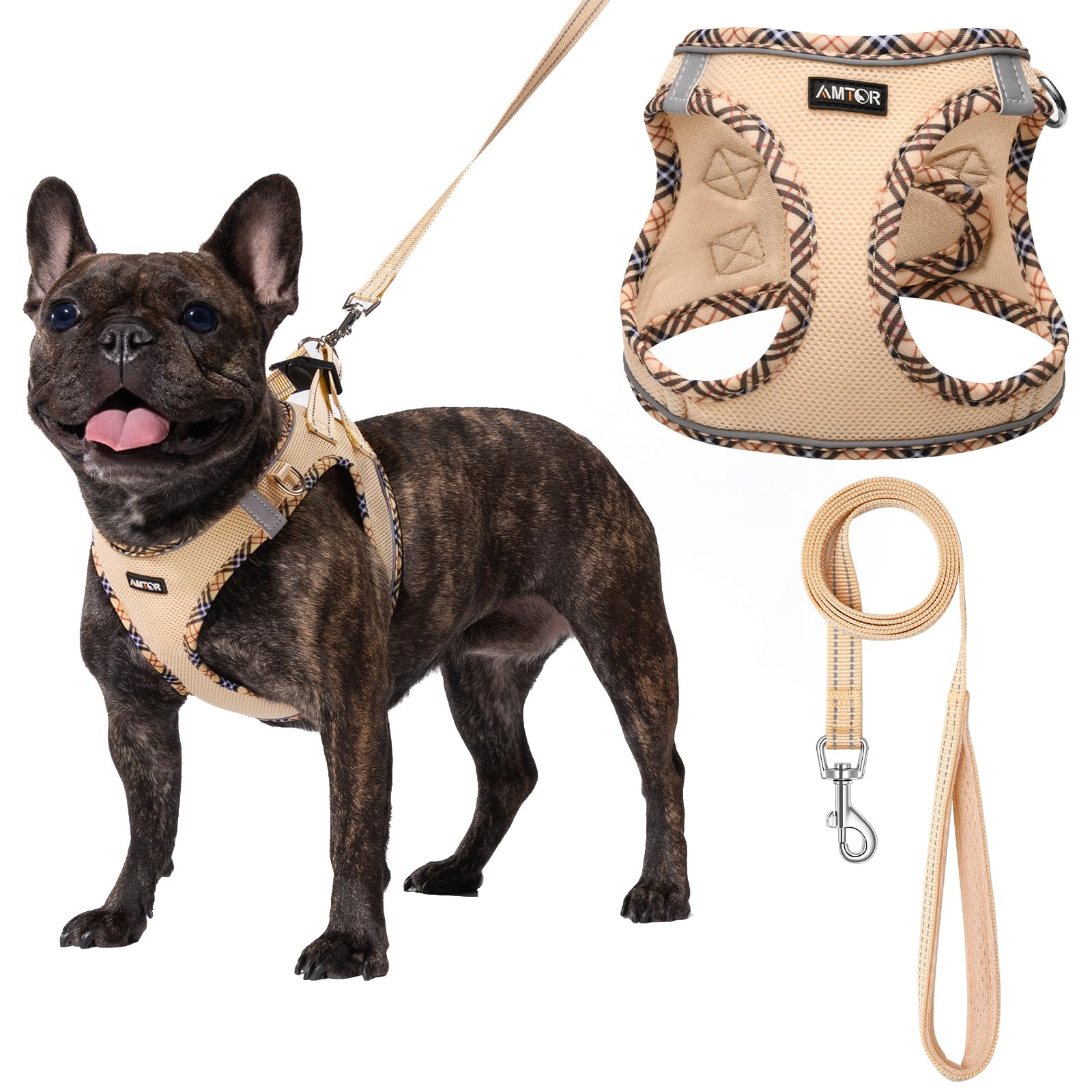 AMTOR No Escape Small Dog Harness with Leash Set - Easy Walk Puppy Training Vest for XS, S, M, L Dogs | Reflective Step-in Soft Harness for Small Breeds (Beige, XXS) - Perfect for Daily Walks, Jogging & Outdoor Adventures