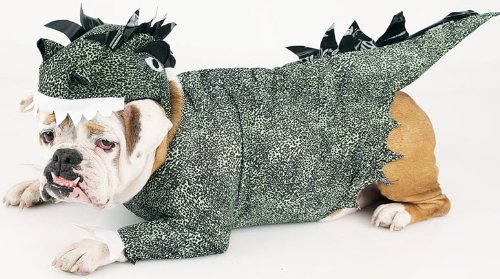 Dinosaur Dog Costume for Pets - Cute & Comfortable T-Rex Outfit for Halloween, Parties & Dress-Up Fun | Perfect for Small & Medium Dogs