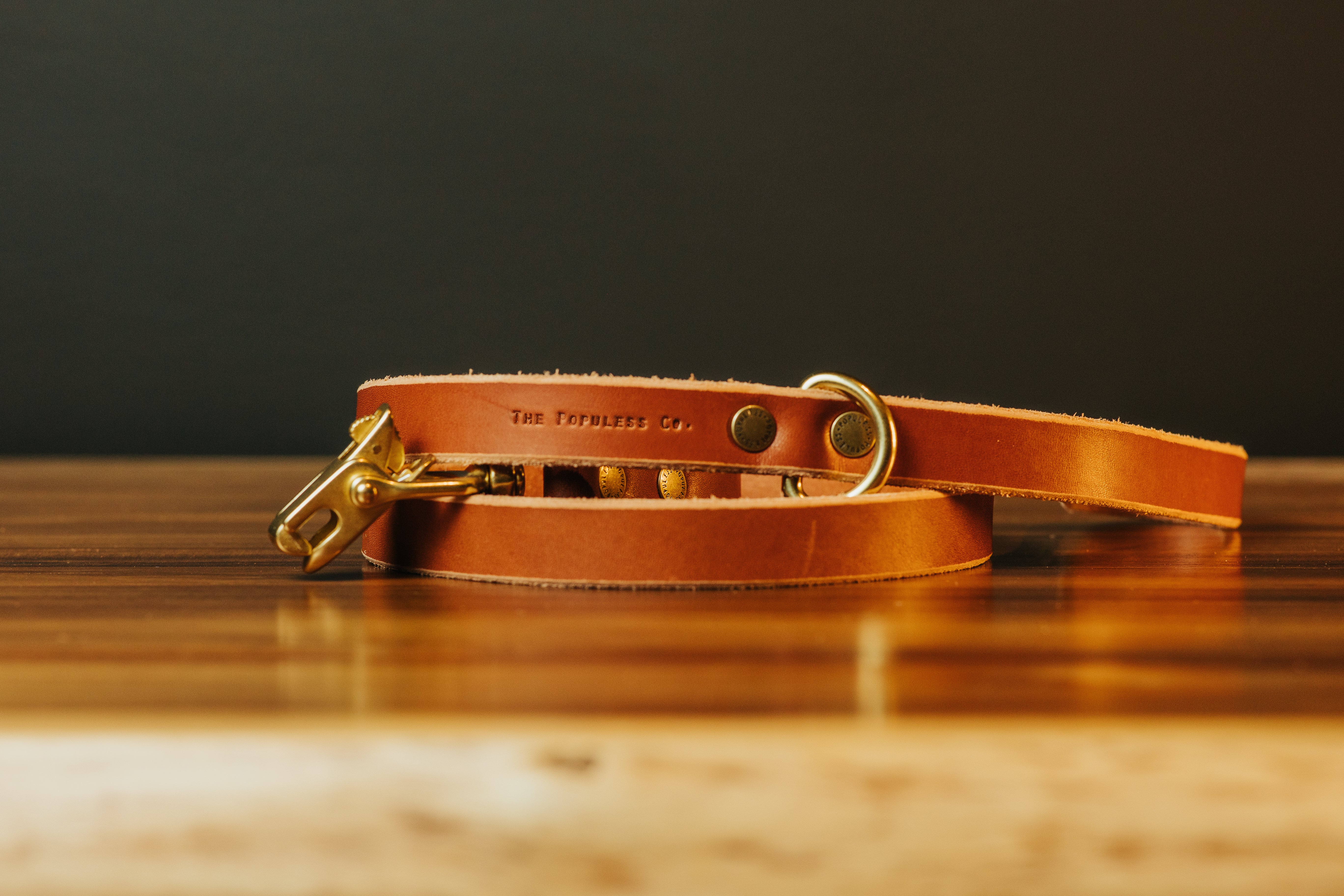 Premium The Jake Dog Leash - Durable Rio Latigo Leather Leash for Medium & Large Dogs - Perfect for Walking, Training & Outdoor Adventures