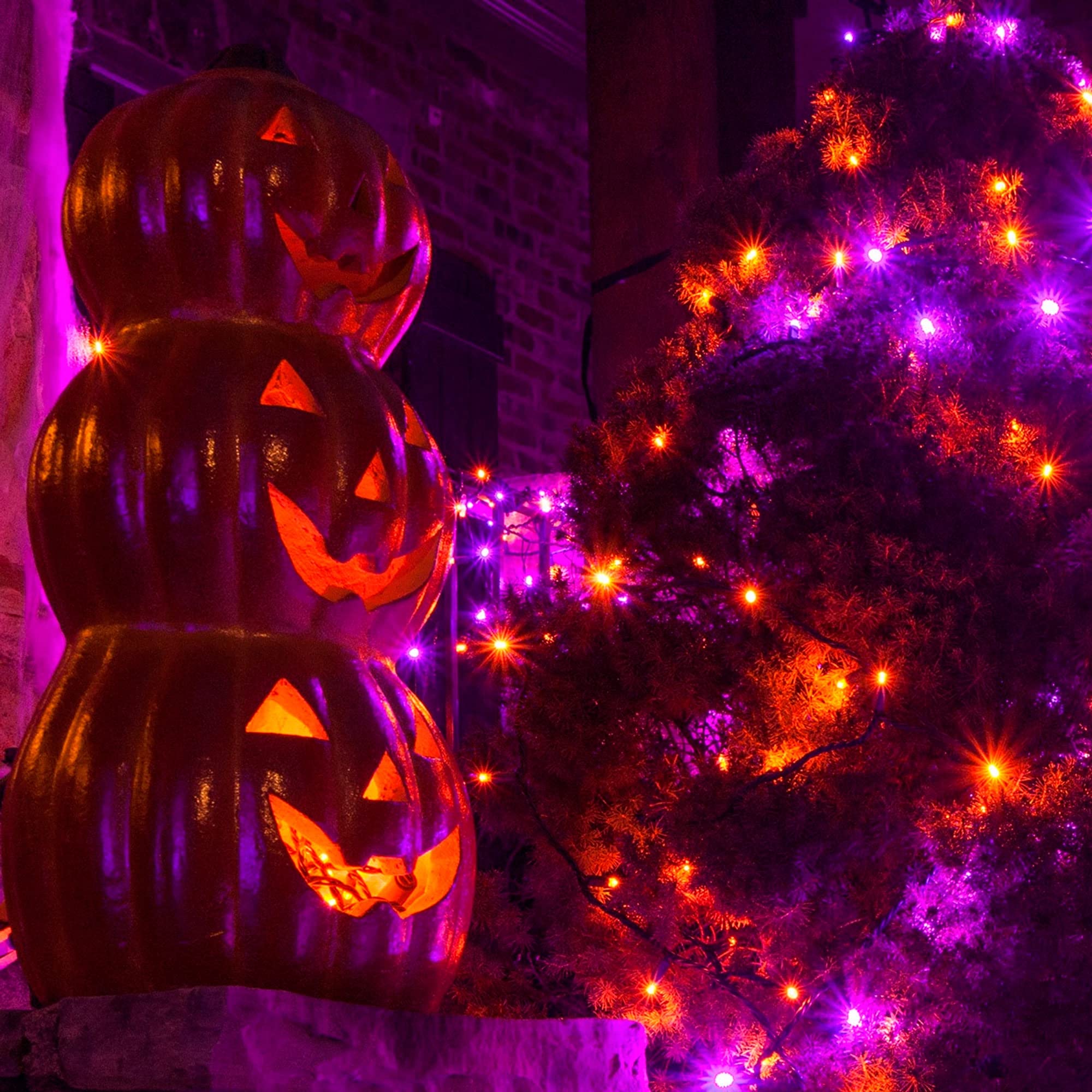 NEROSUN Halloween Mini String Lights - 2 Pack 100 LED 32FT Waterproof Battery Operated Fairy Lights with 8 Lighting Modes | Indoor Outdoor Halloween Decor for Garden, Party, Wedding, Christmas & Home Decoration (Purple & Orange)