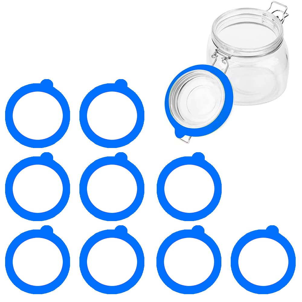 Premium Silicone Replacement Gasket - 10pcs Airtight Rubber Seal Rings for Mason Jars & Canning Lids | Leak-Proof, Durable, BPA-Free | Perfect for Food Storage, Pickling, and Preserving (Blue)