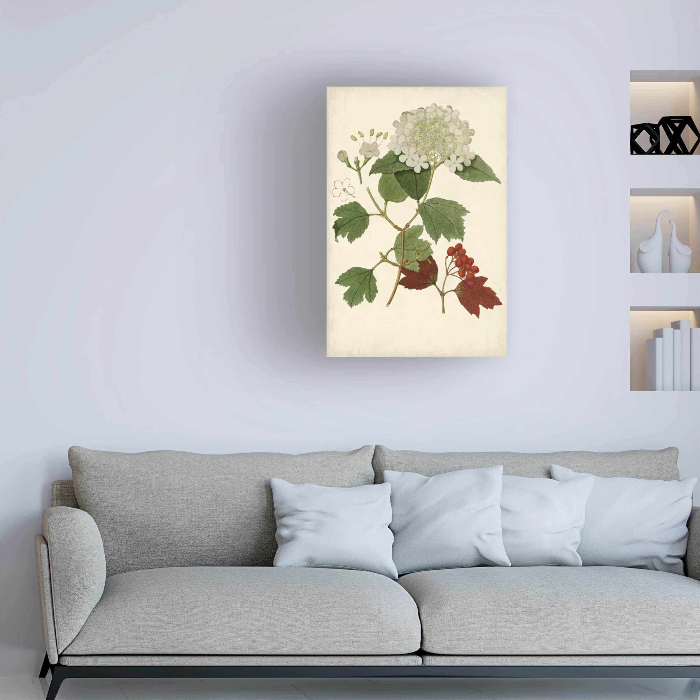 Trademark Fine Art 'Flowering Viburnum I' Canvas Wall Art Print - Botanical Floral Painting for Living Room, Bedroom & Office Decor