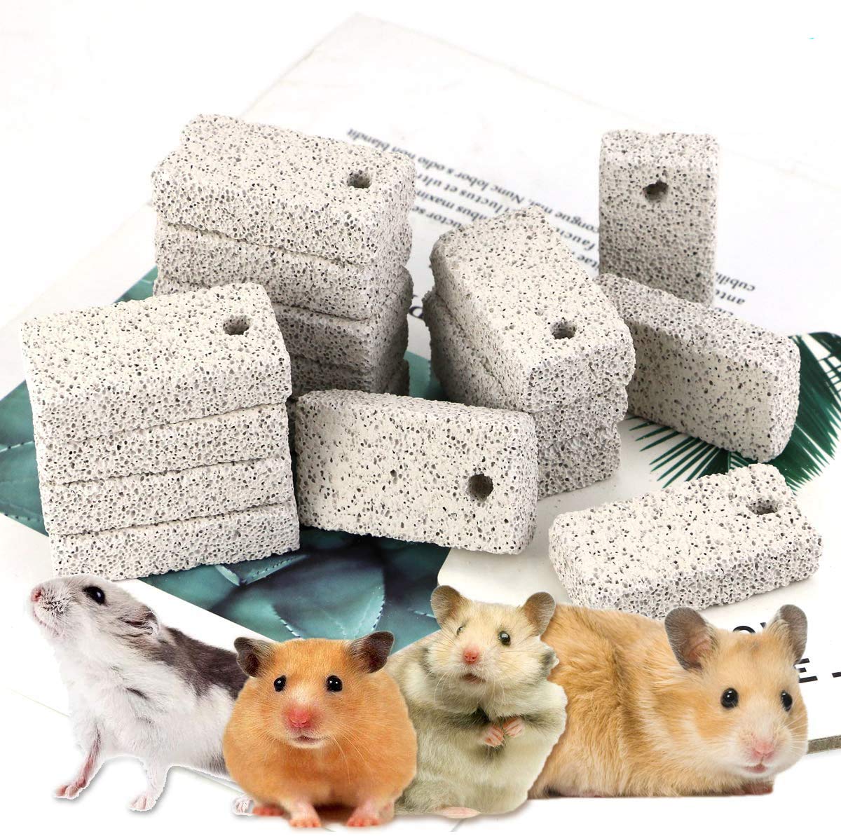 20 Pcs Small Animal Chew Toys - Natural Lava Bites for Hamsters, Parrots, Chinchillas & Rabbits | Teeth Grinding Mineral Calcium Stone | Perfect for Cage Enrichment & Dental Health