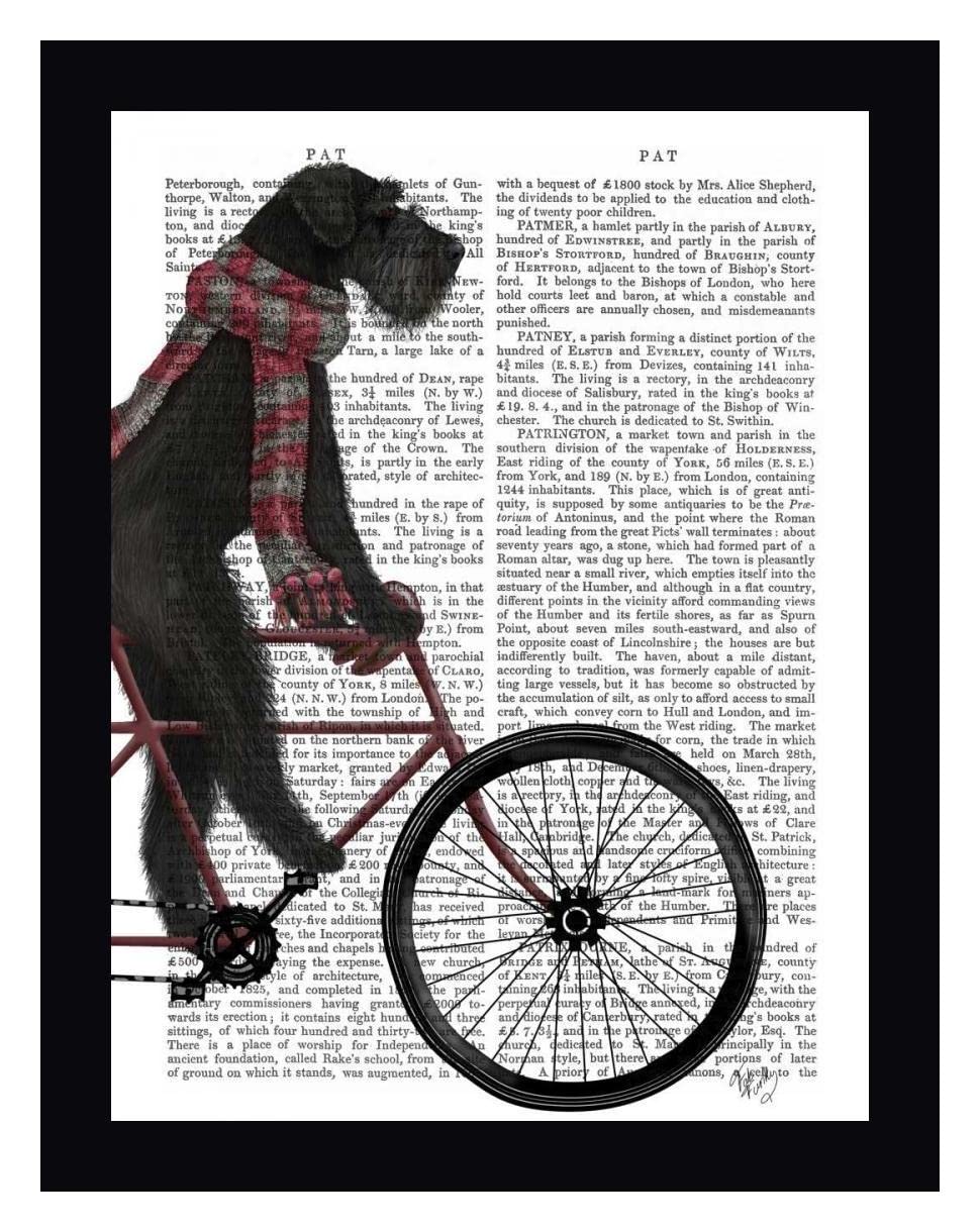 Fab Funky Schnauzer on Bicycle Black Framed Canvas Art Print - 19x24 Inch Ready to Hang Wall Decor - Perfect for Living Room, Bedroom or Office