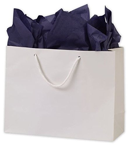 Premium Matte White Euro-Shoppers Bags - 13