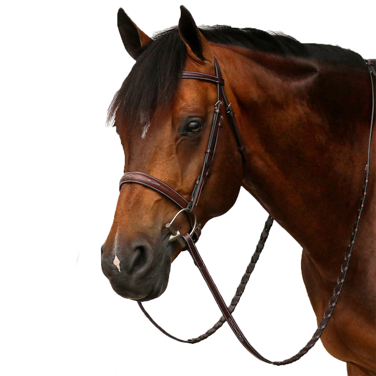 Equiline Scott Stewart Hunter Bridle – Premium English Riding Bridle for Show Jumping & Equestrian Competitions | Perfect for Training & Dressage
