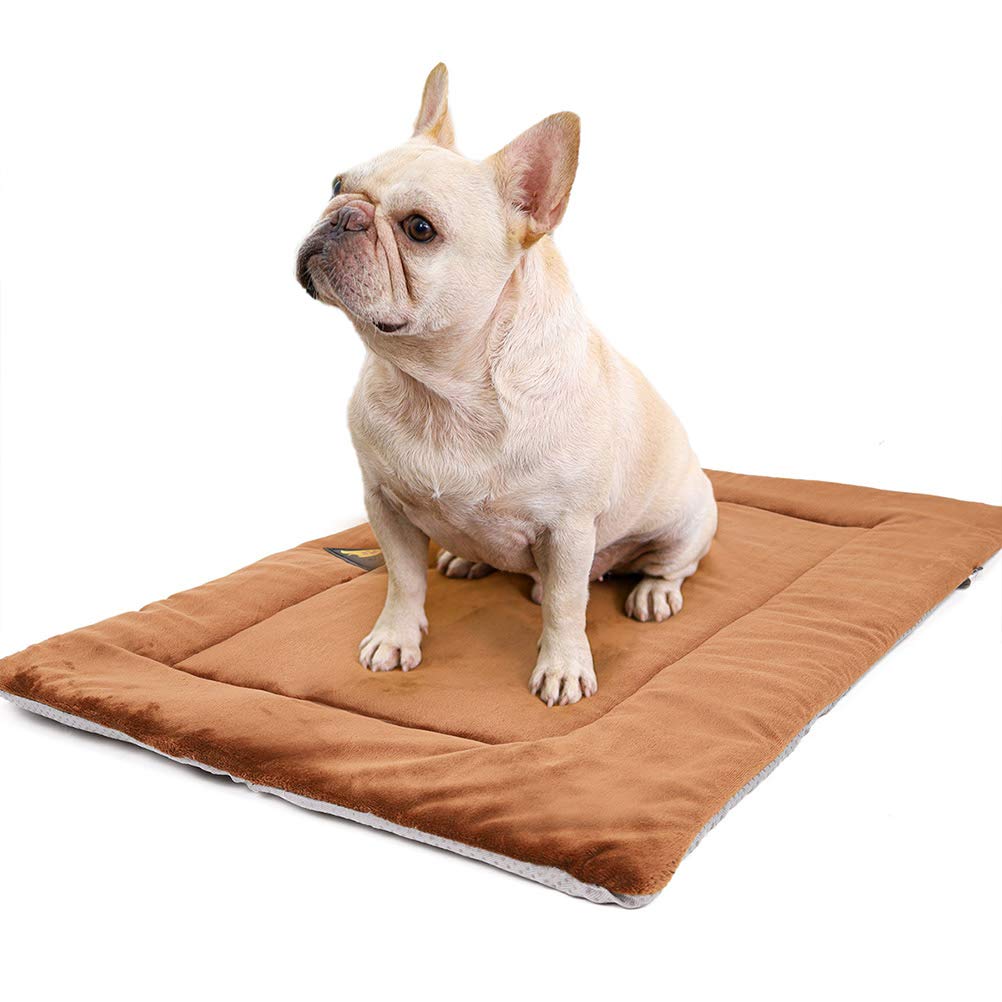 TEHAUX Waterproof Electric Heating Pad for Dogs & Cats - Self-Warming Pet Mat with Glued Cotton, Heated Dog Bed & Cat Bed for Winter - Ideal for Indoor Use, Crate Training, and Arthritis Relief