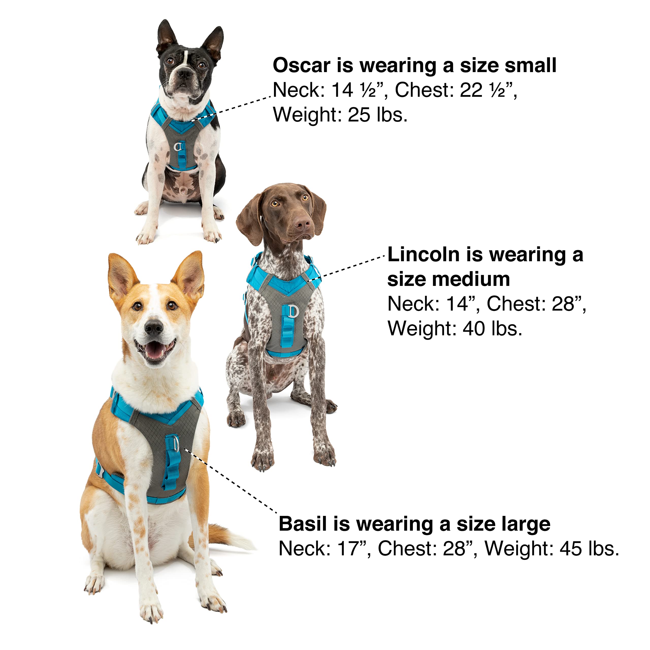 Kurgo Journey Air Dog Harness - Breathable & Adjustable Pet Harness for Small Dogs, Orange, Size S - Perfect for Hiking, Walking & Outdoor Adventures