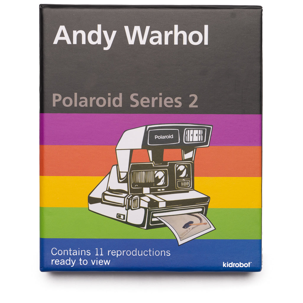 Kidrobot Andy Warhol Polaroid Series 2 Vinyl Art Figure - Collectible Pop Art Toy for Home & Office Decor